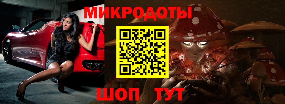 Сланцы  Галлюциногенные грибы Psilocybine cubensis  Вход с VPN 